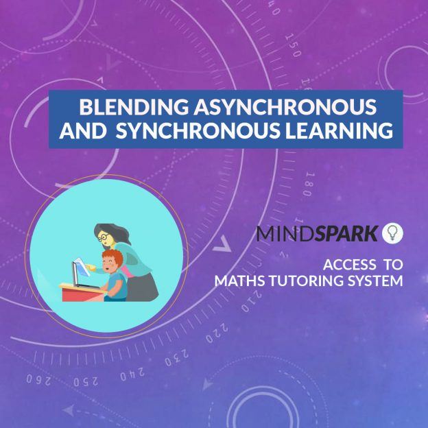 Mindspark – Adaptive Learning Platform